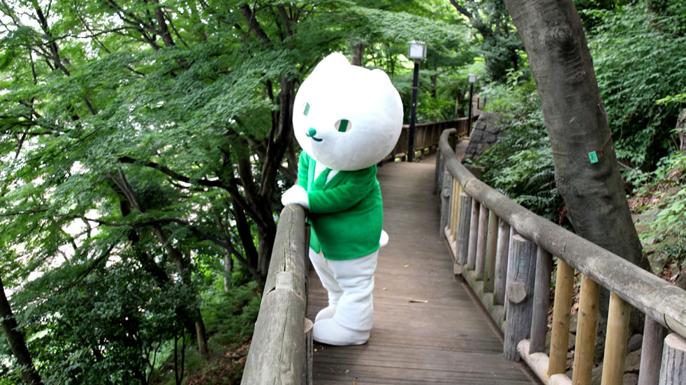 山で景色を眺めるりそにゃの画像